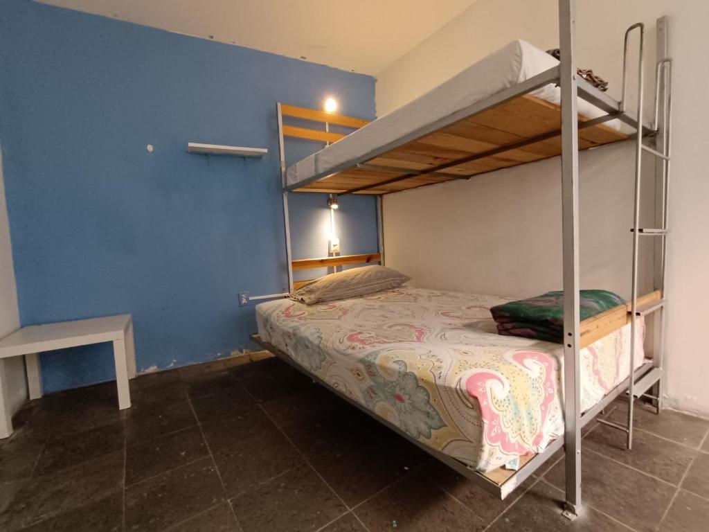 Postel nebo postele na pokoji v ubytování Monkey Safari Hostel
