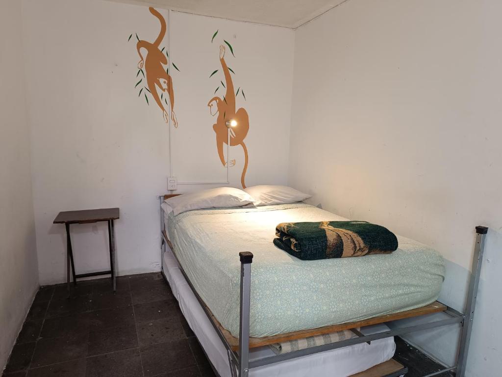 Postel nebo postele na pokoji v ubytování Monkey Safari Hostel