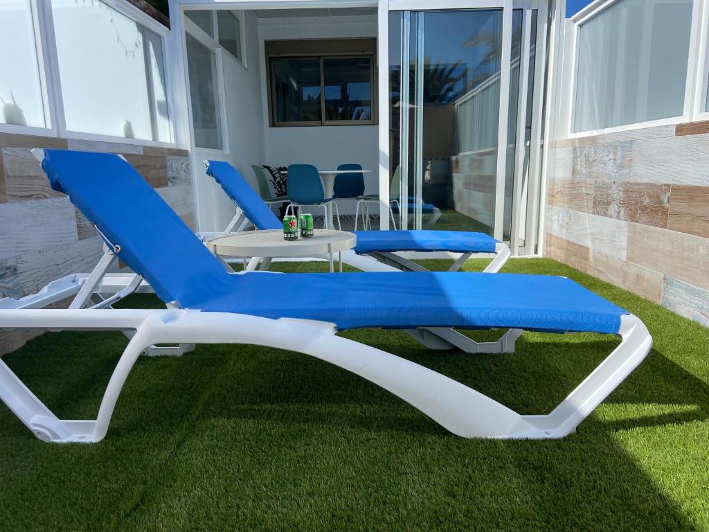 a pair of blue and white lounge chairs on a lawn at CarpeDiem Costa de Antigua in Costa de Antigua