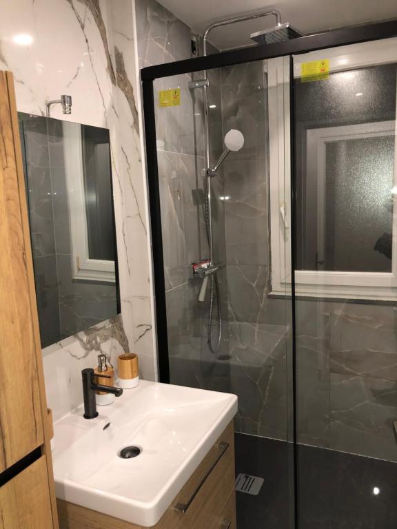 a bathroom with a shower and a sink and a shower at Magnifique appartement pouvant accueillir 6 personnes à 20 minutes de paris in Antony