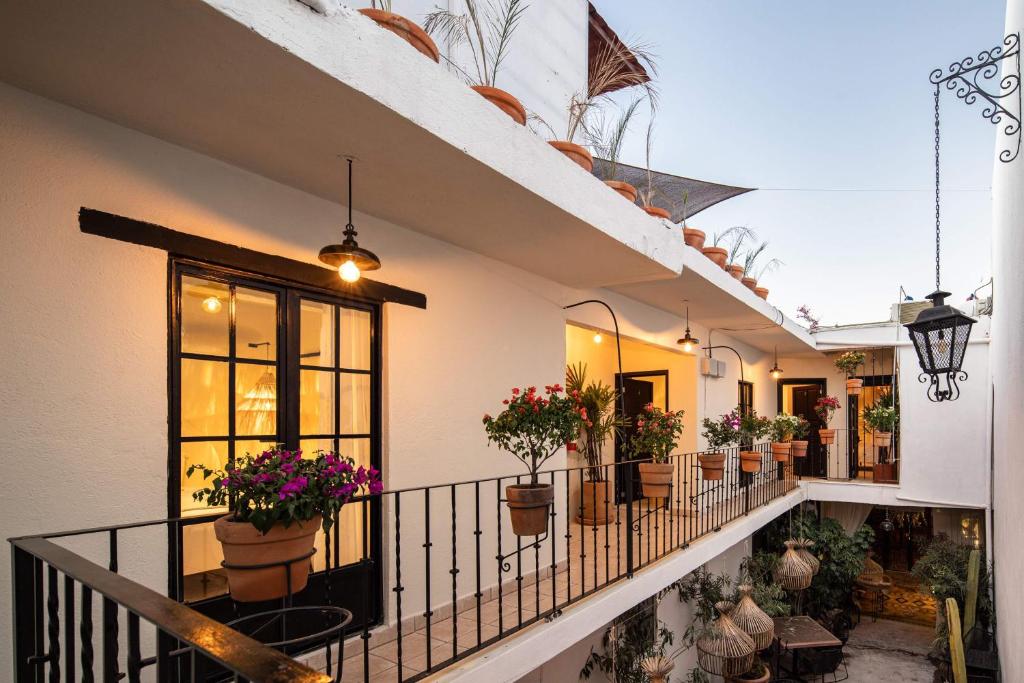 Balkón nebo terasa v ubytování HOLT Hotel del Pueblito