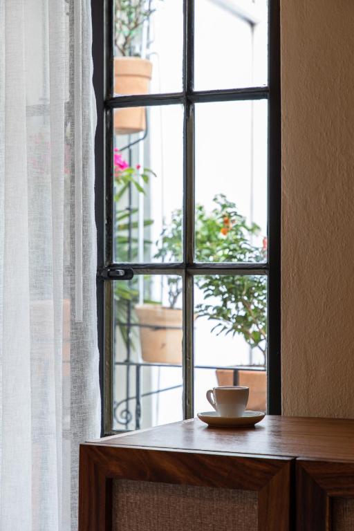 Fotografie z fotogalerie ubytování HOLT Hotel del Pueblito v destinaci San Miguel de Allende