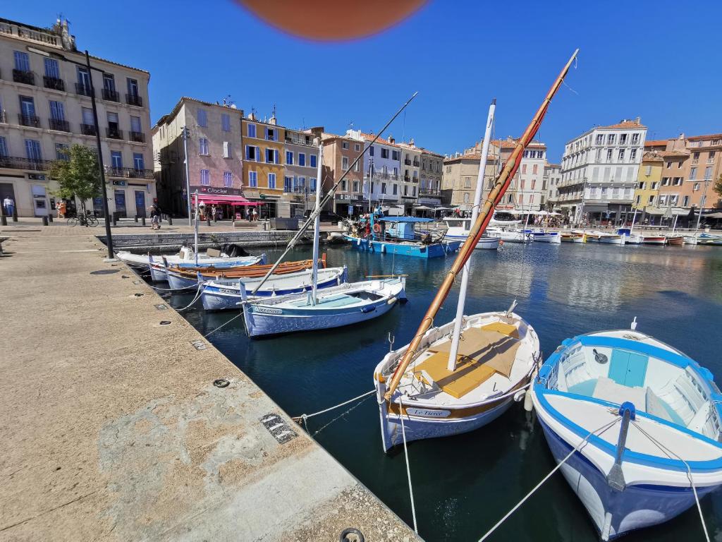 un groupe de bateaux est amarré dans un port dans l'établissement Très beau studio idéalement situé centre ville, à La Ciotat