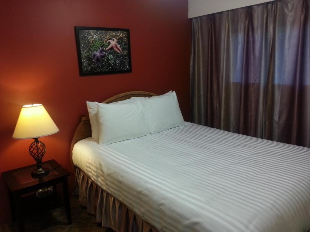 une chambre d'hôtel avec un lit et une lampe sur une table dans l'établissement Edgewater Motel, à Oyster Bay