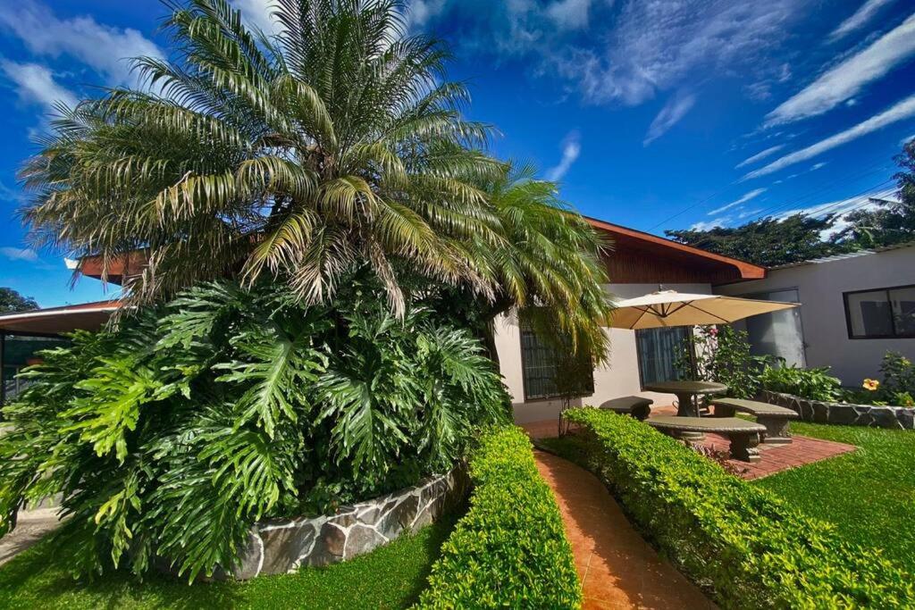 a palm tree in front of a house at Peace Garden Apartment in Monteverde Costa Rica