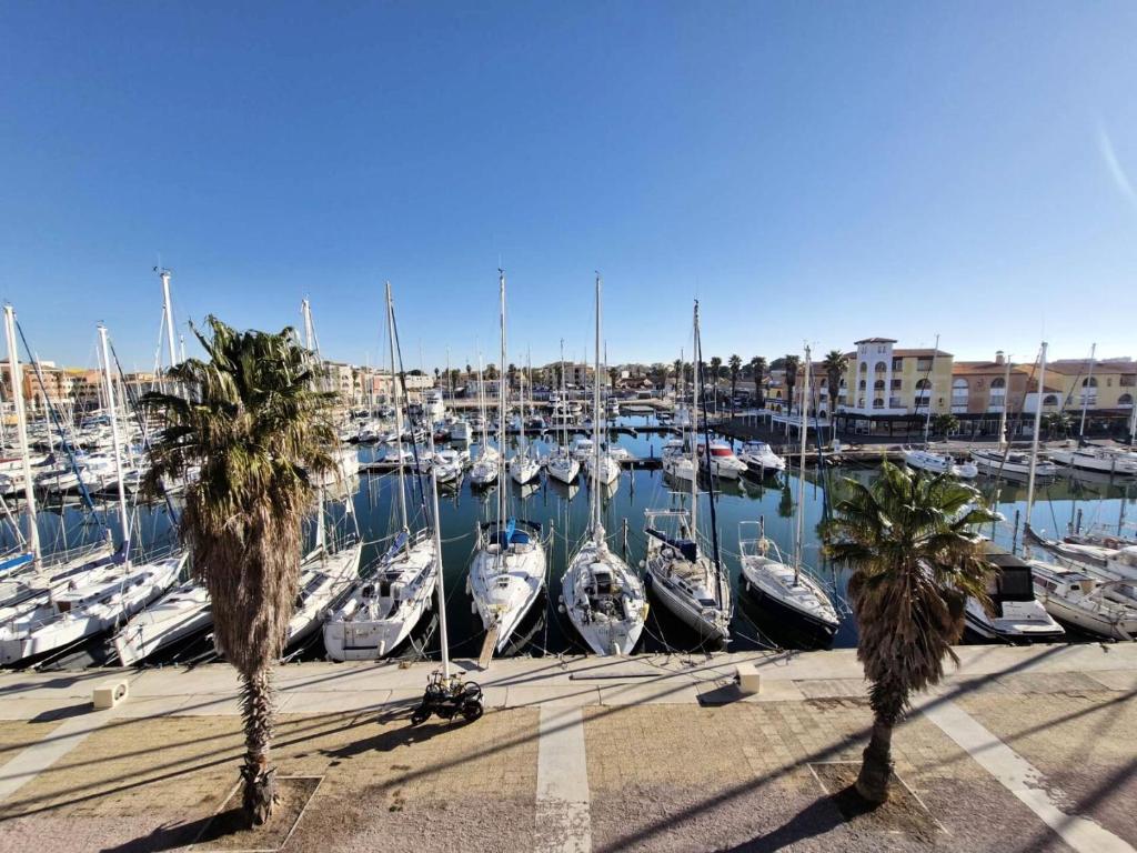 un groupe de bateaux amarrés dans un port de plaisance avec des palmiers dans l'établissement Résidence Le Grand Large - 2 Pièces 4 couchages PORT LEUCATE MAE-6534, à Port-Leucate