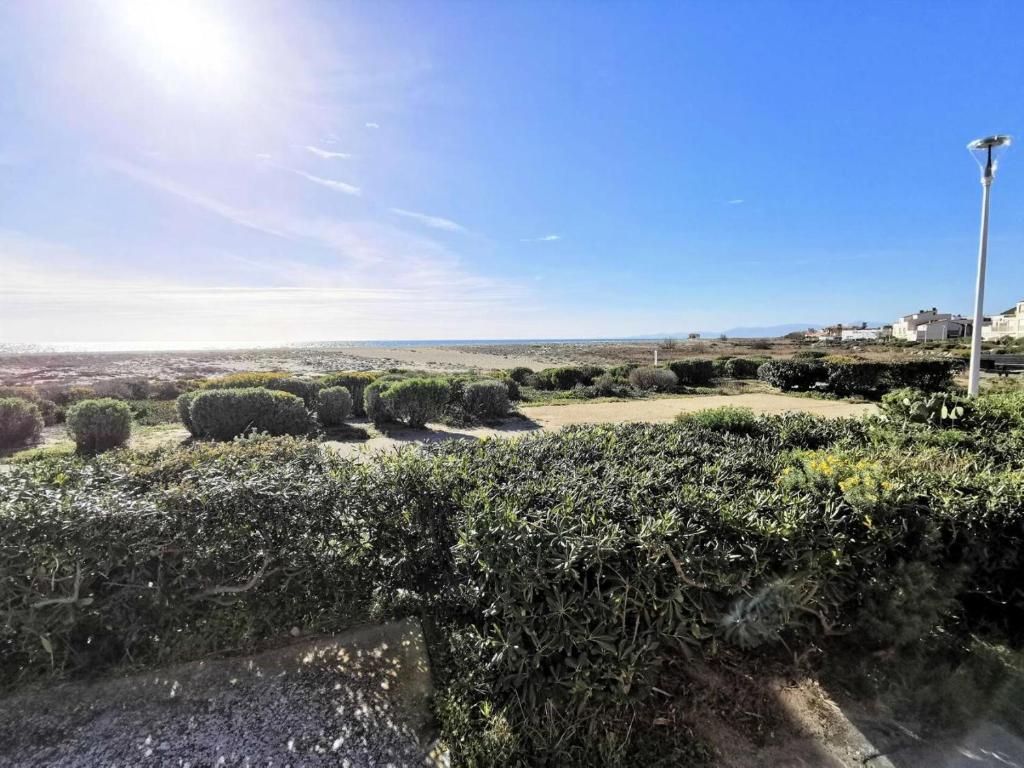 un champ de buissons avec le soleil en arrière-plan dans l'établissement Résidence Maisons De La Mer 1 - Magnifique studio rénové pour deux personnes en front de mer à Port Leucate. Réf: 1MM1_91 MAE-6954, à Port-Leucate