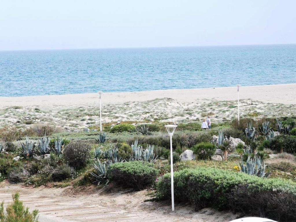 une plage avec des plantes bleues et l'océan dans l'établissement Résidence Le Mykonos - APPT T2 CAB OU MEZZ 6 couchages PORT LEUCATE. Réf: 2MYK_15C MAE-7254, à Port-Leucate
