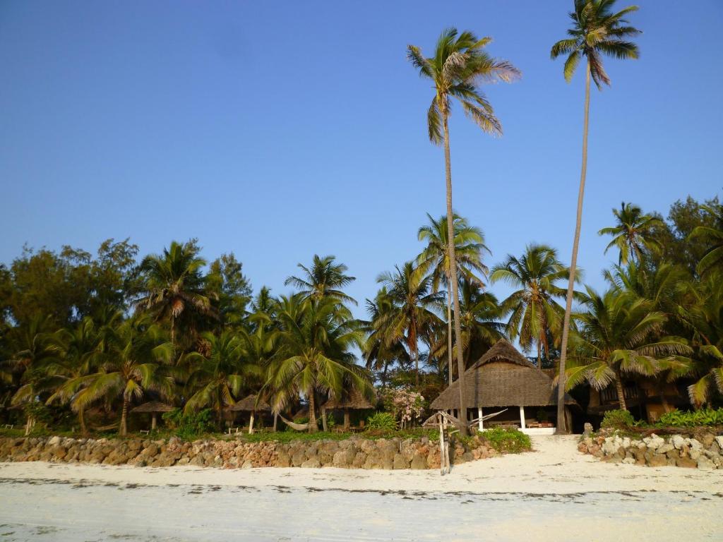a beach with palm trees and a building on it at Paradise Beach Bungalows in Paje