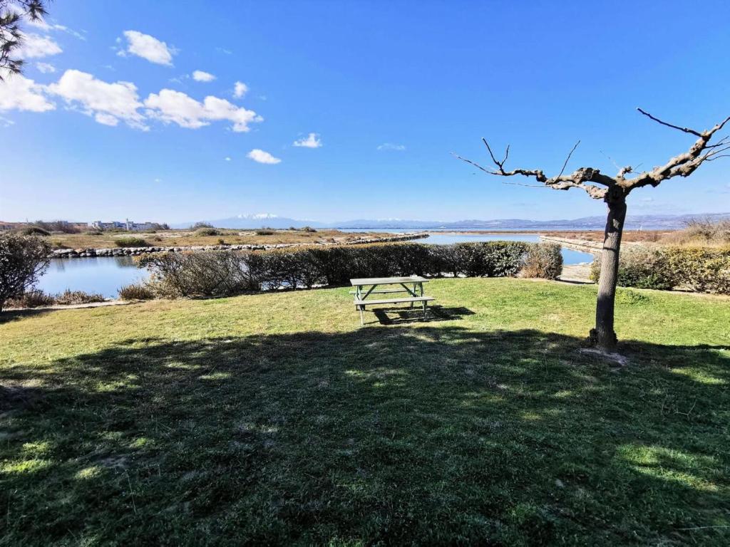 - une table de pique-nique dans l'herbe à côté d'un lac dans l'établissement Résidence Ile Des Pecheurs - VILLA 3 PIECES 6 couchages LE BARCARES MAE-3114, à Port-Leucate