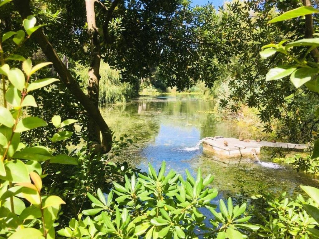 Photo de la galerie de l'établissement Résidence Cap Vert - Beau T2 front de mer dans domaine avec piscine et tennis MAE-4314, à Six-Fours-les-Plages