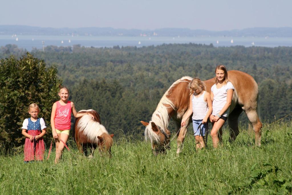 Zvířata v farmy nebo okolí