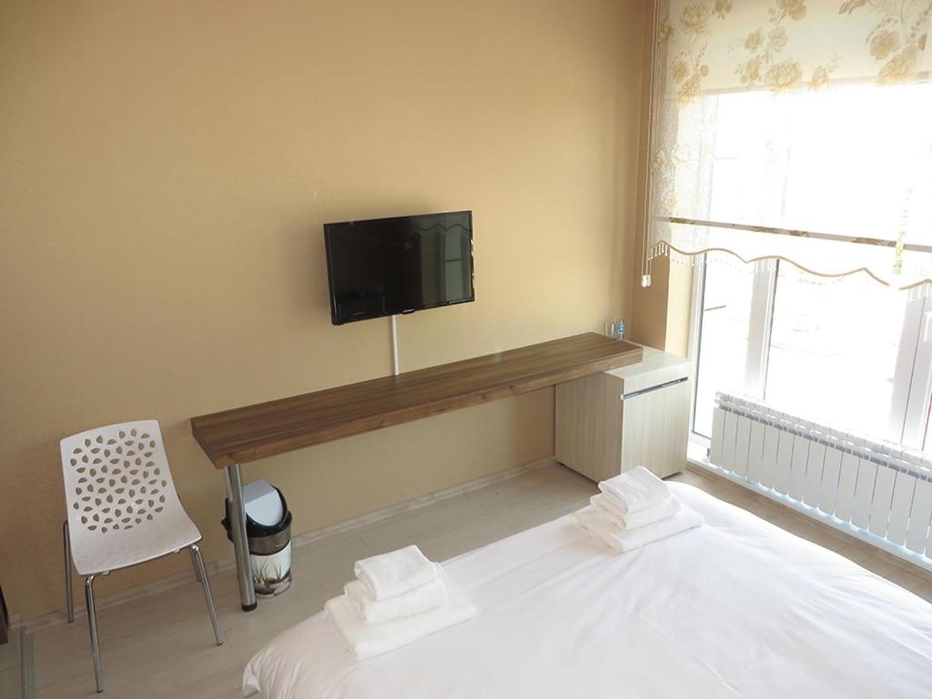 TV a/nebo společenská místnost v ubytování Hotel Dunav
