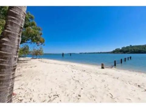 a beach with a palm tree and the water at Pet Friendly Waterfront Holiday House on Peaceful Island with Bikes and Kayaks 