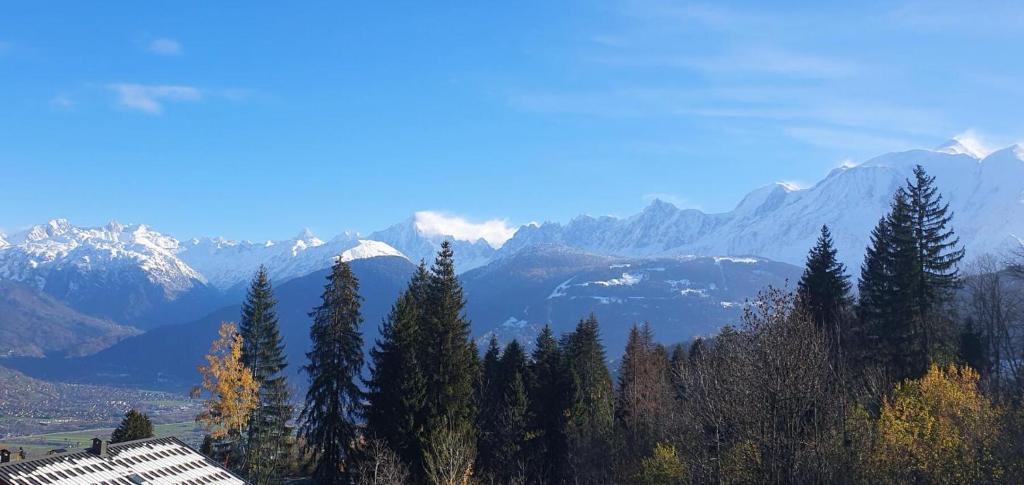 - une vue sur une chaîne de montagnes avec des arbres et des montagnes dans l'établissement Résidence La Cry - La Cry 13 MAE-5604, à Combloux