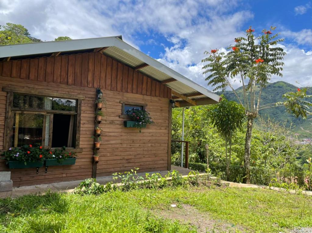 una pequeña casa de madera con una ventana y un árbol en Cabaña de montaña, en Paraíso