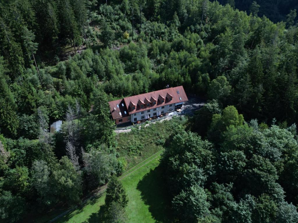 an aerial view of a house in the middle of a forest at Waldpension Am Köpfchen in Kurort Steinbach-Hallenberg