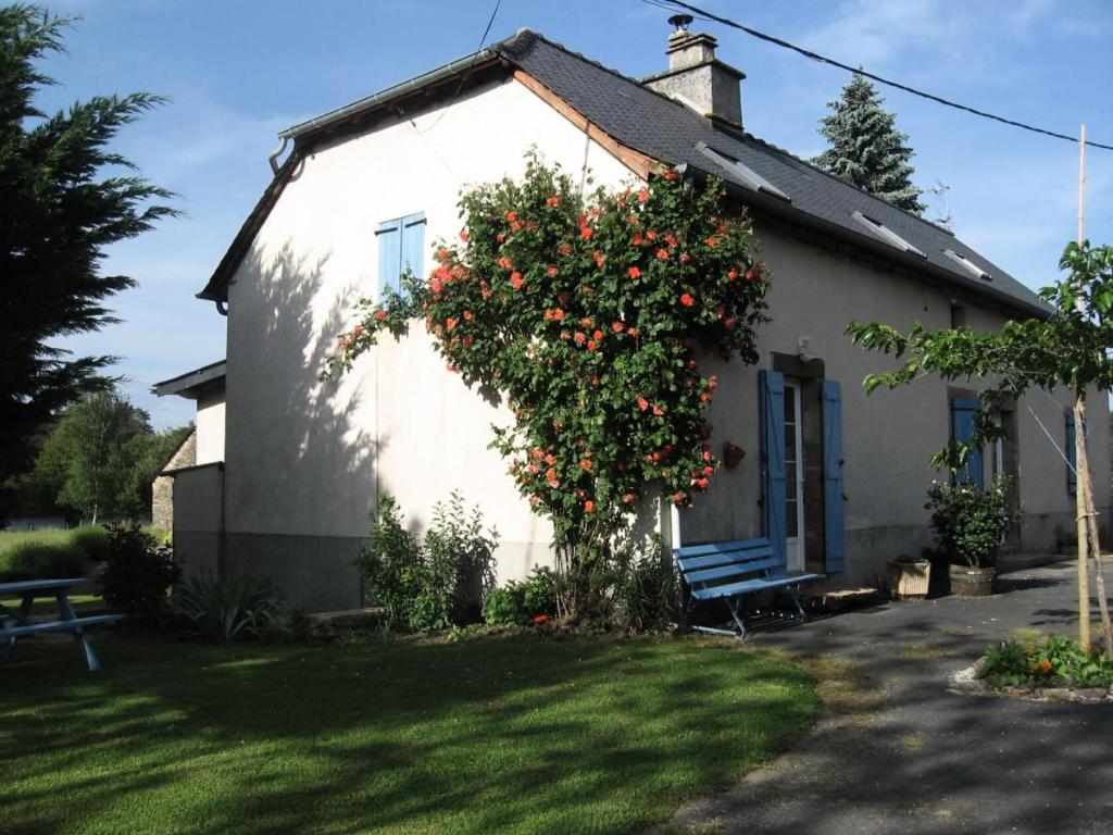 ein weißes Haus mit einem Busch mit roten Blumen drauf in der Unterkunft Gîte de France Au bord de l'eau 3 épis - Gîte de France 6 personnes 674 in Aubazines