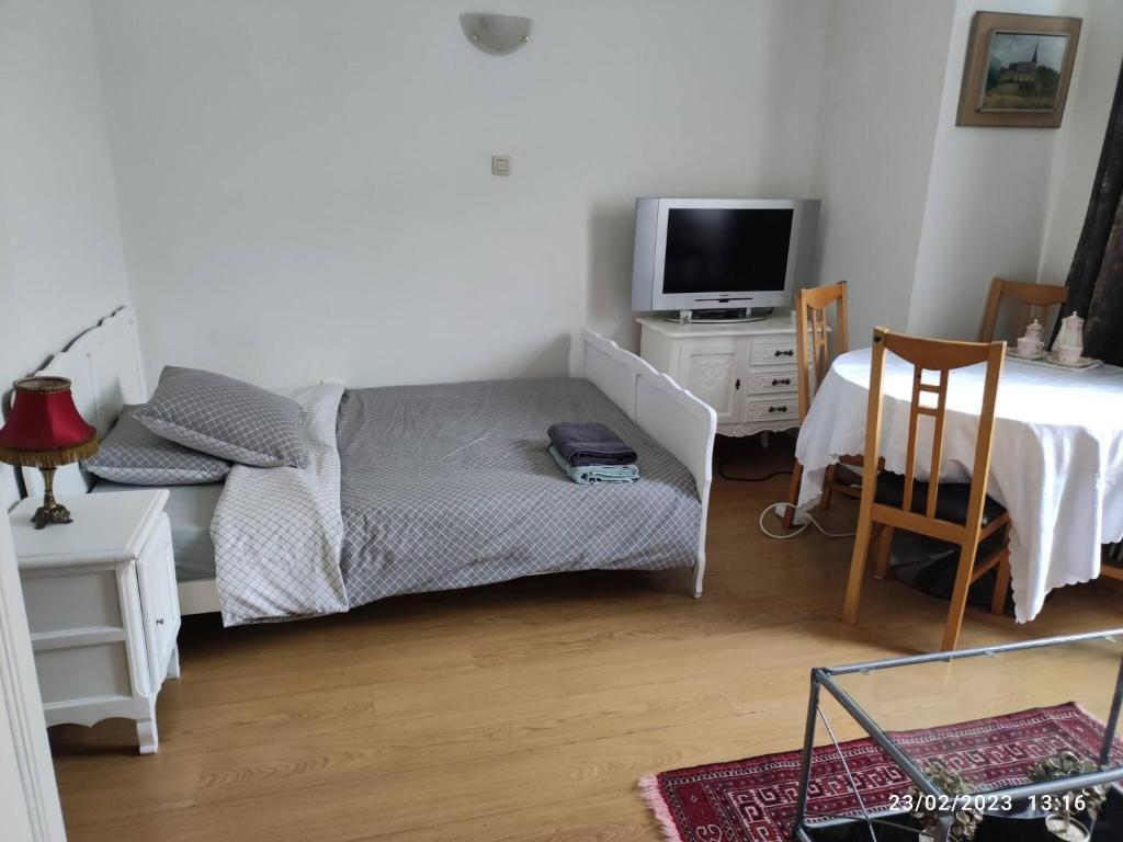 ein Wohnzimmer mit einem Sofa und einem TV in der Unterkunft Room in Guest room - Chambre C A Bruxelles in Brüssel