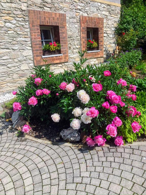 Zahrada ubytování Villa Jana