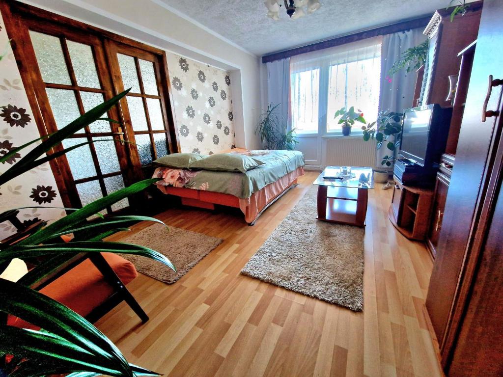 a living room with a couch and a tv at Sabina Apartment in Sighişoara
