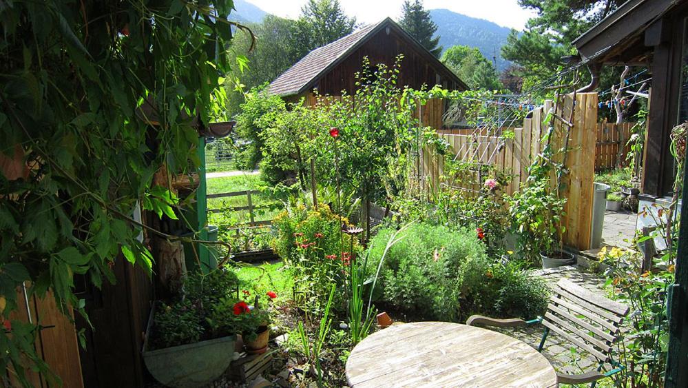 Zahrada ubytování Gästehaus Unruh