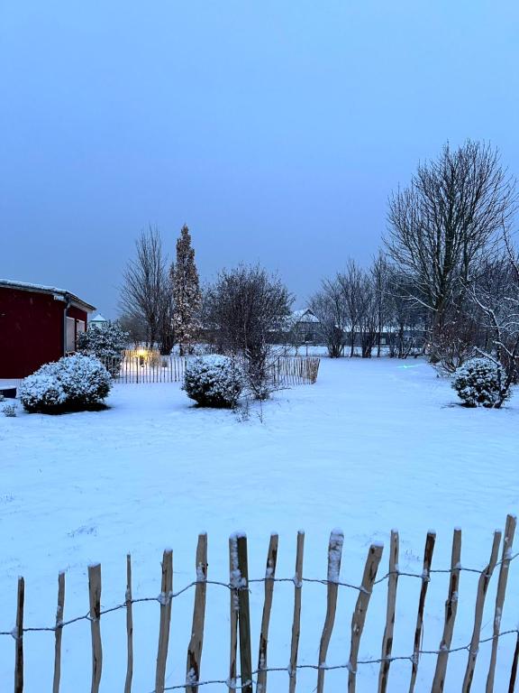 Ferienhaus am Saaler Bodden v zimě