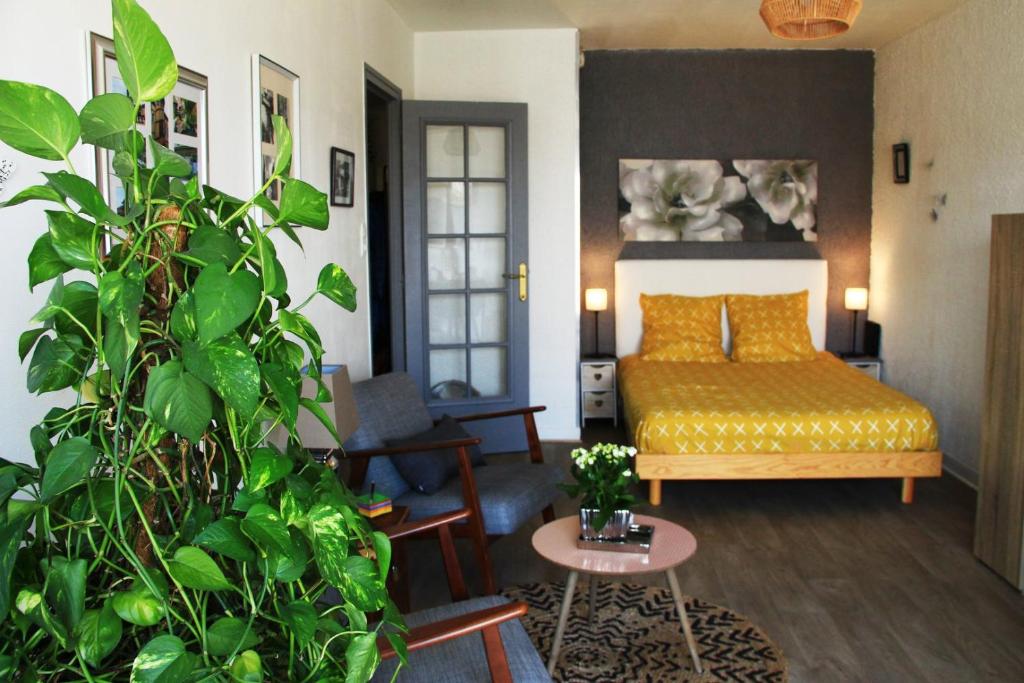 - un salon avec un lit et une plante dans l'établissement Le Clos Pichot - Studio avec balcon, parking privé - 5mn Gare, à Chartres