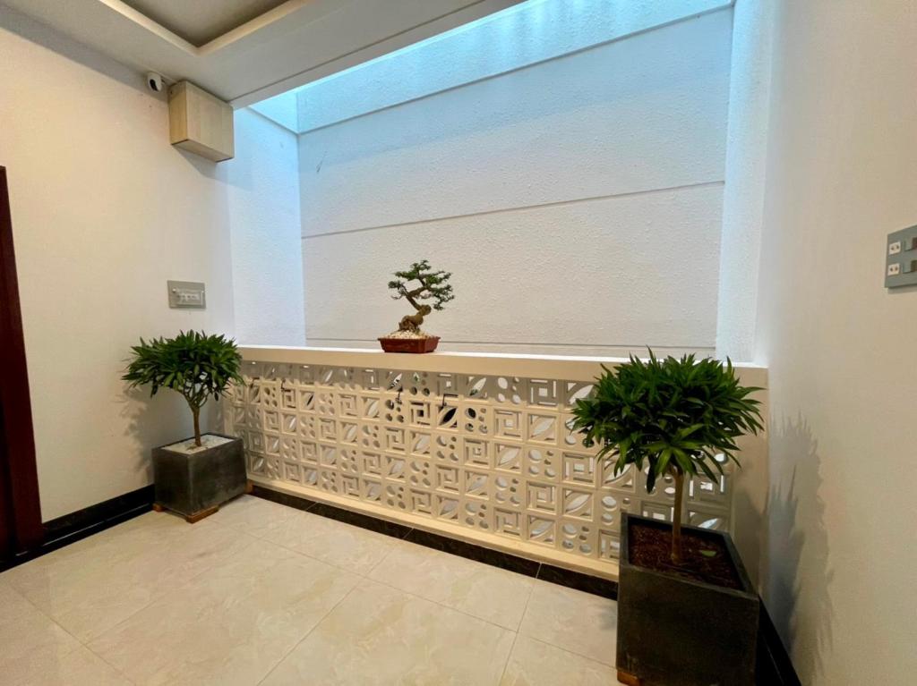 a hallway with two potted plants and a window at Queen Sea Hotel in Phan Thiet
