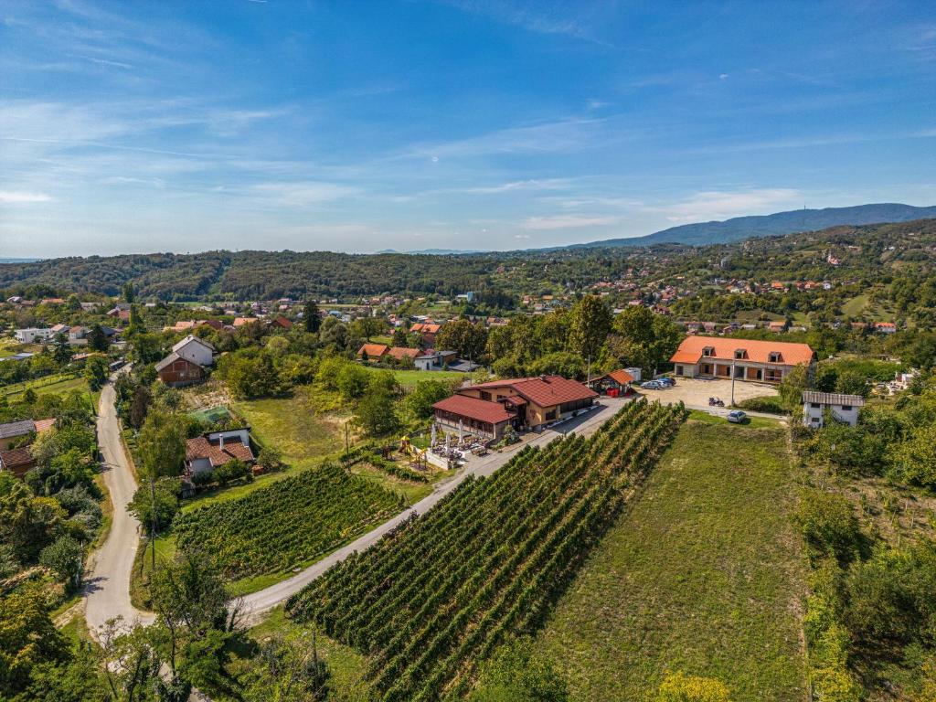 an aerial view of a estate with a vineyard at 5 Sunca 