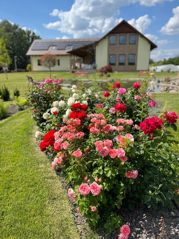 Ogród w obiekcie Auróra Rendezvényterem & Szállás