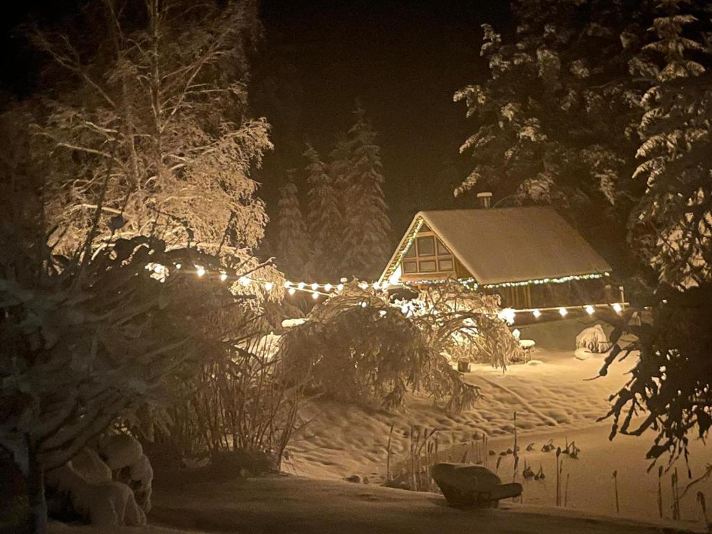 une maison éclairée la nuit dans la neige dans l'établissement Viesu Nams “Noras”, à Ķesterciems