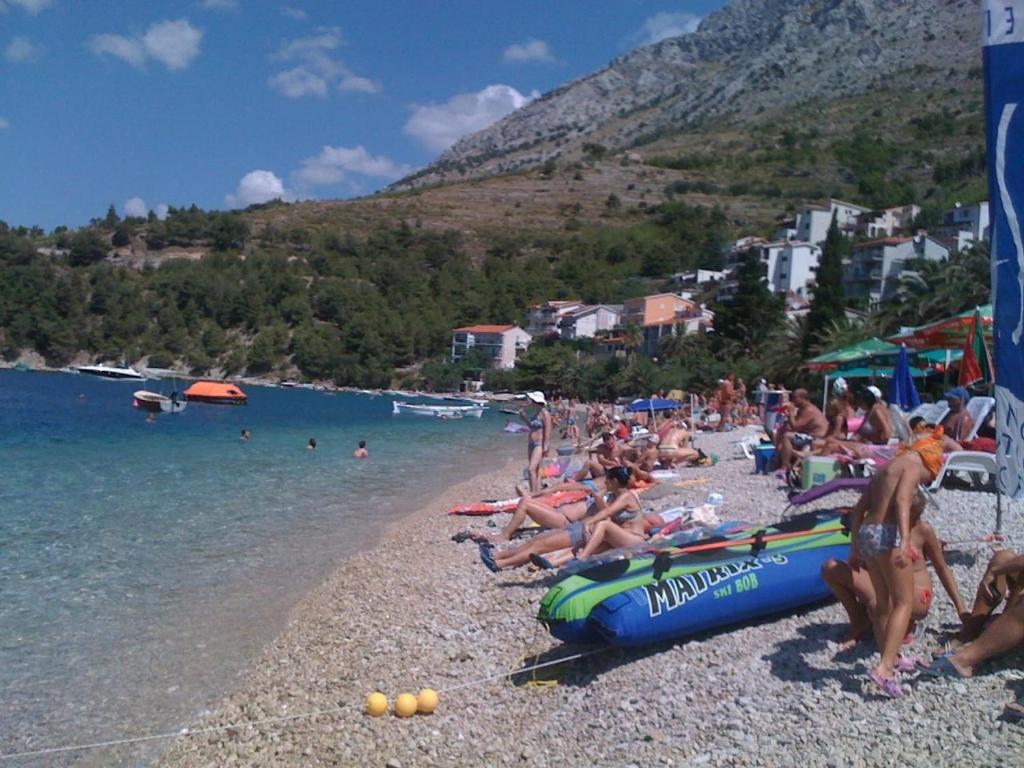 Príroda v okolí penziónu