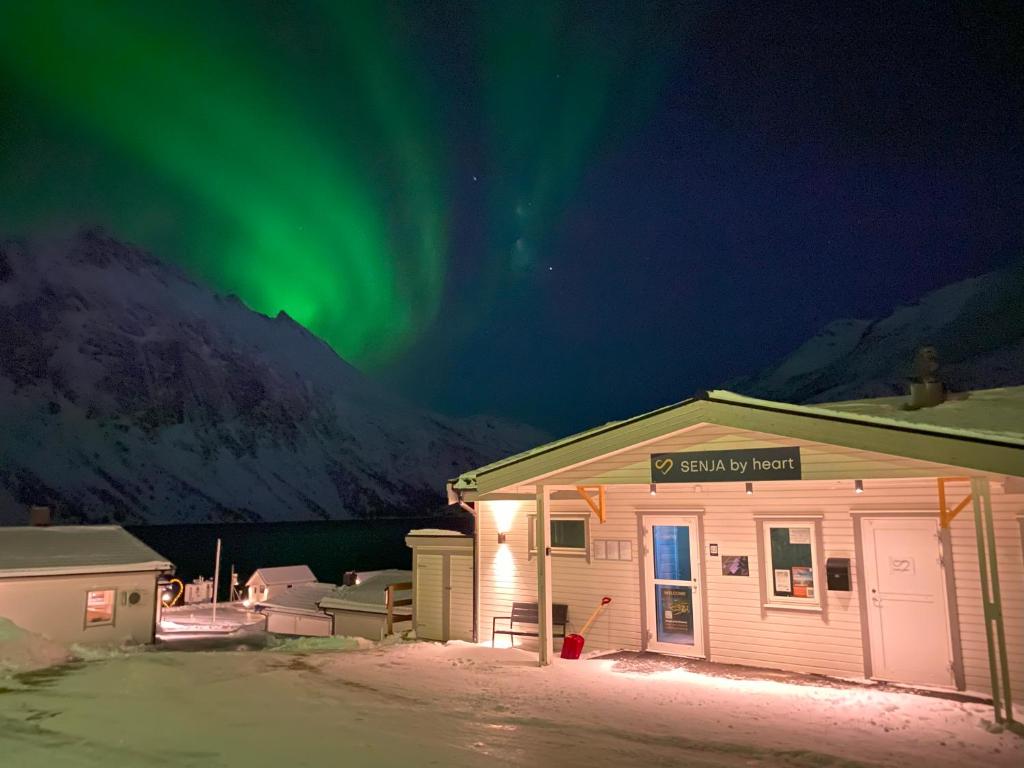 eine Hütte mit den Nordlichtern am Himmel in der Unterkunft Senja Fjordcamp in Torsken
