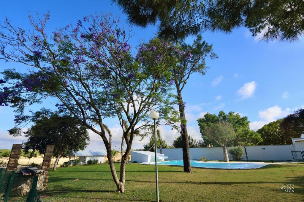 un parque con dos árboles y una piscina en Hacienda Laguna Seca - Apart. Lavanda, en Chiclana de la Frontera