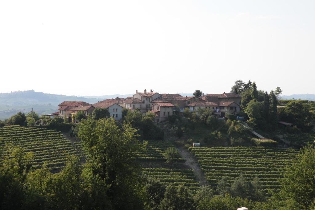 un villaggio su una collina in un vigneto di B&B acaso a Serralunga d'Alba