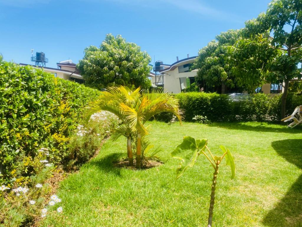 a garden with a palm tree in the grass at Pendeza La Casa in Naivasha
