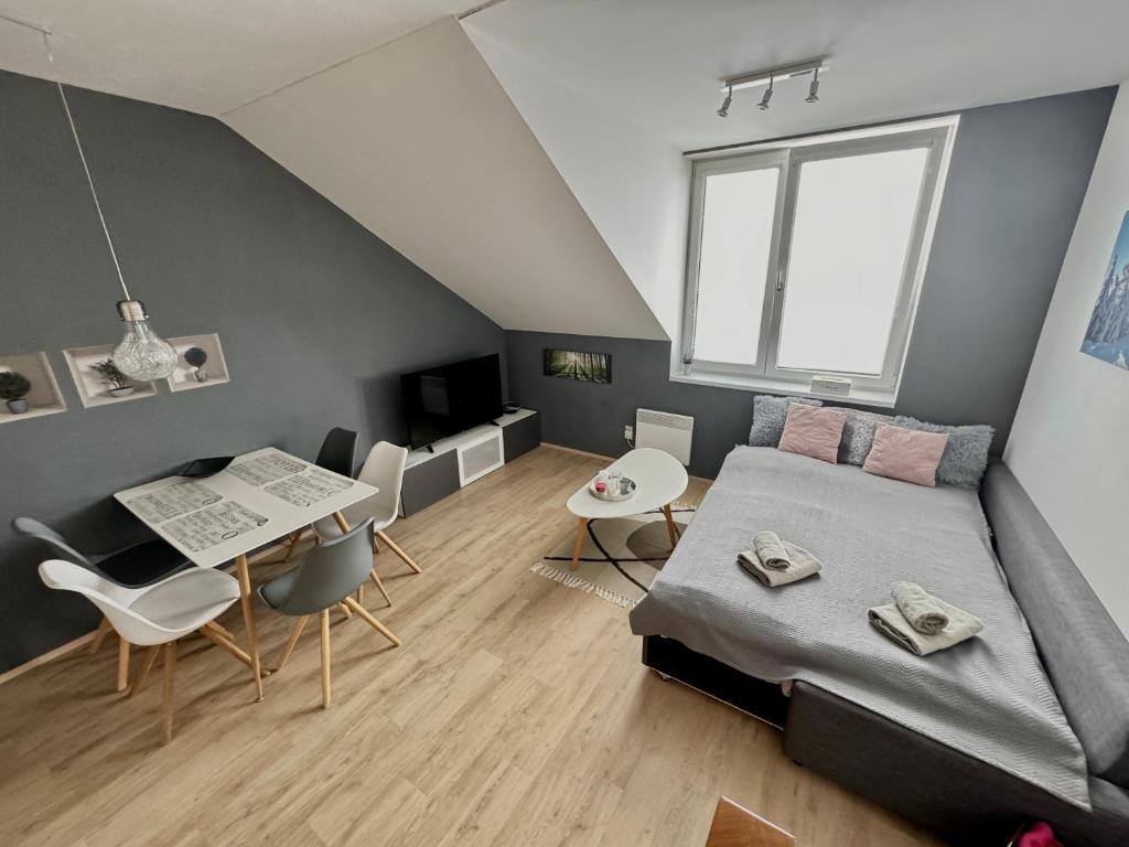 Posezení v ubytování Dolní Morava - Apartmány