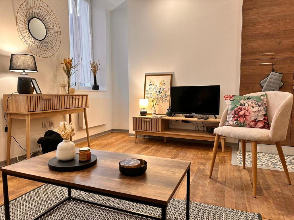 uma sala de estar com um sofá e uma televisão em Appartement Couteliers-Centre ville-4pers em Moulins
