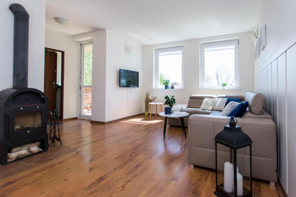 Una sala de estar con un sofá y una chimenea. en Apartamenty Delfin, en Gdansk