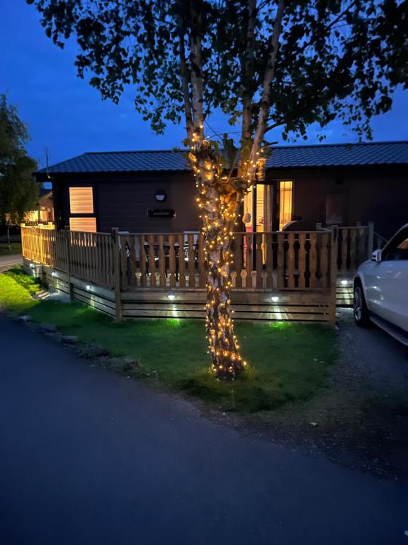 a house with lights around a tree in the yard at Bolton Beer Escape Lodge in Warton