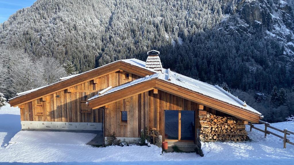 chalet du Champel jacuzzi v zime