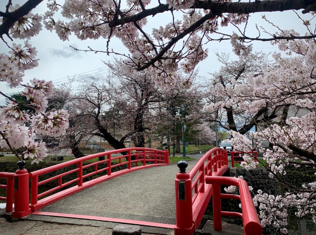 米沢市にあるYonezawa Excel Hotel Tokyu Reopening on June 1 "DEN'S HOTEL yonezawa"のピンクの桜の木が植えられた公園内の赤い橋