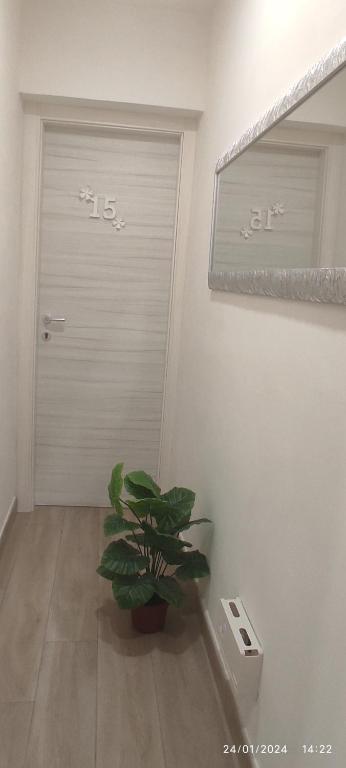 Zdjęcie z galerii obiektu HOME DOLCE LUNA w mieście Castelvetrano Selinunte