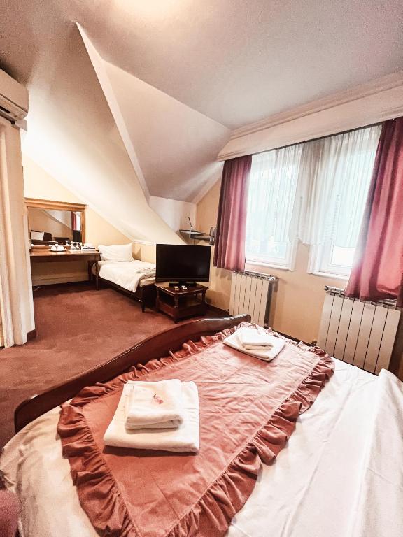 Pensiunea Curtea Bavareza - Triple Salle Standard