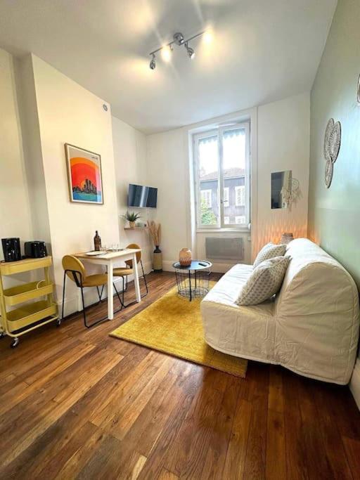 Joli Studio Lumineux Prox Métro/Tram/Gare, Villeurbanne (aktualisierte