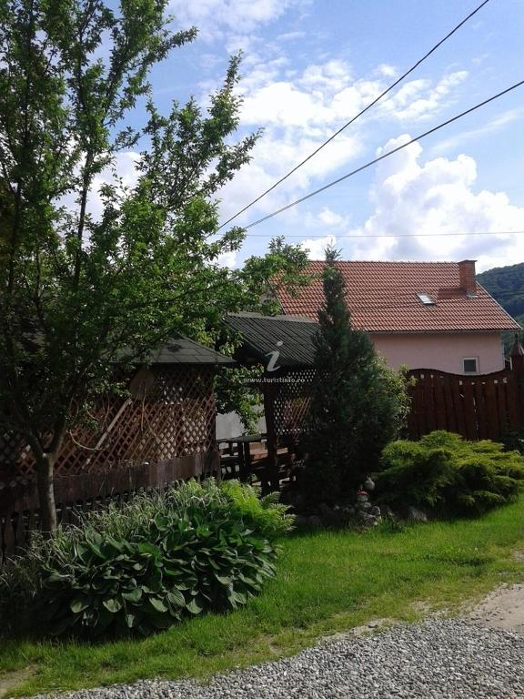 Zahrada ubytování Apartamente Ambrus Praid