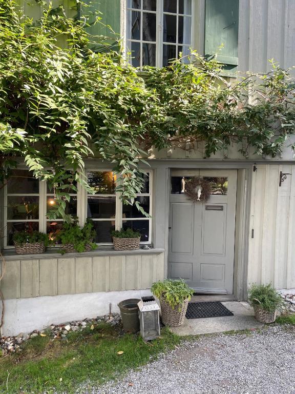Zahrada ubytování Fischerhäuser Romanshorn