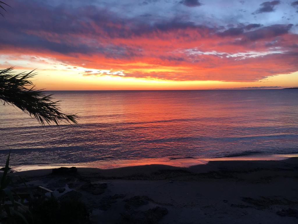 un coucher de soleil sur l'océan avec un palmier dans l'établissement Hermosa casa con piscina climatizada entre el mar y las sierras en Bella Vista - Piriápolis, à Bella Vista