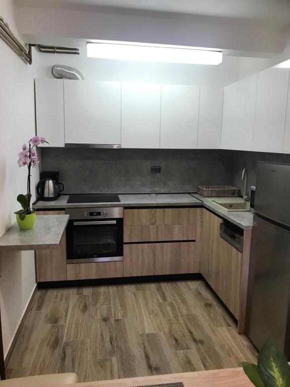 Apartments Renata - 6